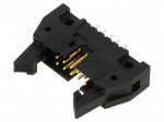 Connector: IDC | plug | male | Plating: gold-plated | PIN: 10 | THT
