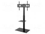 LCD/LED holder | free-standing handle | 40kg