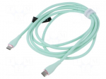 Cable | USB 2.0 | USB C plug,both sides | nickel plated | 2m | green