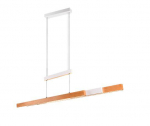 TRIO TRAJAN incl.1x45W LED/5300Lm/2700K - 5000K     375390531 gaismeklis