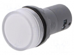 Control lamp | 22mm | CL2 | -25&divide;70&deg;C | Illumin: LED | &Oslash;22mm | 230VAC