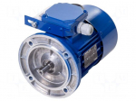 Motor: AC | 1-phase | 0.25kW | 230VAC | 1340rpm | 1.78Nm | IP54 | 2.5A