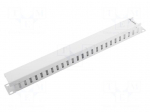 Cable organizer | 1U | grey | Standard: 19"