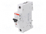 Circuit breaker | 230VAC | Inom: 63A | Poles: 1 | DIN | Charact: C | 6kA