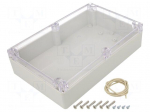 Enclosure: multipurpose | X: 146mm | Y: 222mm | Z: 55mm | Ritec | IP65
