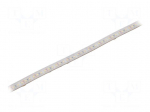 LED tape | white cold | 2835 | LED/m: 120 | 10mm | white PCB | IP65 | 120&deg;