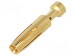 Contact | female | EPIC H-BE 2.5 | gold-plated | 0.5mm2 | crimped
