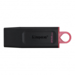 Flash drive Kingston  MEMORY DRIVE FLASH USB3.2/256GB DTX/256GB