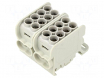 Splice terminal: distribution block | for DIN rail mounting