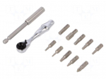 Kit: screwdriver bits | Pcs: 12 | Phillips,Torx&reg;,Allen hex key