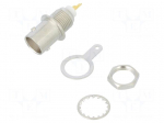 Socket | BNC | female | straight | 50&Omega; | soldering | for panel mounting