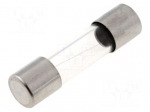 Fuse: fuse | quick blow | 40mA | 250VAC | cylindrical,glass | 5x20mm