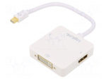 Adapter | DisplayPort 1.2,DVI 1.0 | white | white