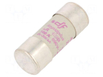 Fuse: fuse | ceramic,cylindrical,industrial | 100A | 690VAC | 700VDC
