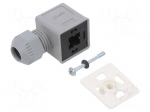 Plug for coil | IP67 | white cold,grey | 250V