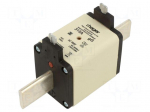 Fuse: fuse | 315A | 500VAC | gG | industrial | NH3