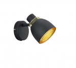 Trio Punch spotlight 1-pc E14 matt black/gold gaismeklis R80811032 4017807567366