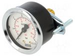 Manometer | 0&divide;6bar | rear connection | Thread: G 1/4" | 50mm | steel