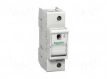 Fuse disconnector | D01 | for DIN rail mounting | 63A | Poles: 1