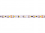 LED strip, 24V, 19.2W/m, non-waterproof IP20, RGB +WW, high efficiency, PREMIUM AKTO