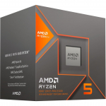 AMD Ryzen 5 8600G - Socket AM5 - processor (boxed version)