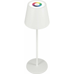 RealPower LED-RGB laualamp reguleeritava heledusega akuga, white