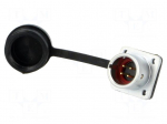 SF12 | socket | male | PIN: 4 | IP67 | 5A | soldering | 200V | 0.75mm2