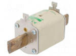 Fuse: fuse | aM | 50A | 690VAC | ceramic,industrial | NH1 | WT-NH