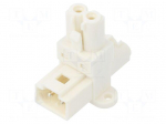 Transition: T adapter | male,female x2 | EPN2 | 16A | 250VAC | PIN: 2