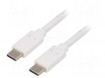 Cable | USB 3.1 | USB C plug,both sides | 1m | white | 10Gbps