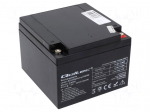 Re-battery: acid-lead | 12V | 24Ah | AGM | maintenance-free