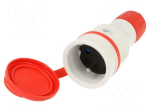 Connector: AC supply | female | power supply | socket | 2P+PE | 250VAC