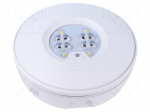 Lamp: LED emergency luminaire | RoundTech | IP65 | white | 1.1W | 200lm