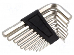 Wrench: hex key-set | 10pcs.