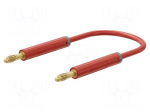 Test lead | 60VDC | 30VAC | 19A | banana plug 4mm,both sides | red