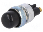 Switch: push-button | Pos: 2 | SPST-NO | 60A/12VDC | OFF-(ON) | IP40
