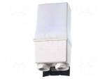 Twilight switch | for wall mounting | 230VAC | DPST-NO | IP54 | 10.32