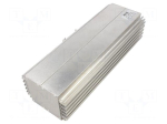 Heating element: heater | heating | LM-Big | 500W | 230VAC | IP54