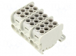 Splice terminal: distribution block | for DIN rail mounting