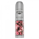 Cuba Blossom (EDP) parfimērijas ūdens sievietēm 100 ml