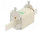 Fuse: fuse | aM | 160A | 690VAC | ceramic,industrial | NH2C | WT-NH