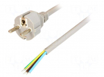 Cable | 3x1.5mm2 | CEE 7/7 (E/F) plug,wires | PVC | 5m | grey | 16A | 250V