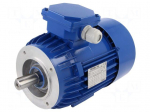 Motor: AC | 3-phase | 0.75kW | 230/400VAC | 2890rpm | IP54 | -30&divide;60&deg;C