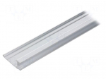 Profiles for LED modules | natural | L: 2m | WALLE12 | aluminium