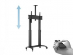 M MOTORIZED PUBLIC FLOORSTAND DUAL PILLAR 180 HD