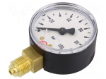Manometer | 0&divide;100bar | bottom connection | Thread: G 1/4" | 50mm