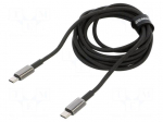 Cable | High Speed,USB 2.0 | USB C plug,both sides | 2m | black | 100W