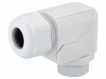 Cable gland | angular | PG13,5 | IP68 | polyamide | grey | HSK-W