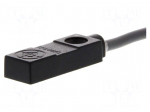 Sensor: inductive | 0&divide;3mm | PNP / NO | cables | 5m | TL
