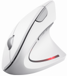 Computer mouse Trust Verto White